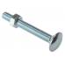 Coach Bolt M12 Pack of 5