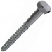Coach Screw M10 Pack of 10 Coach Screw M10 Pack of 10